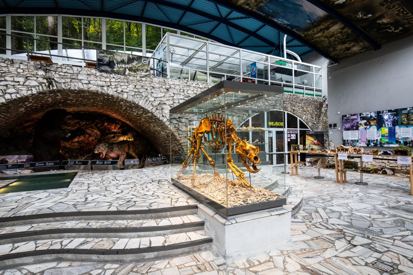 Jaskinia Niedźwiedzia w Kletnie